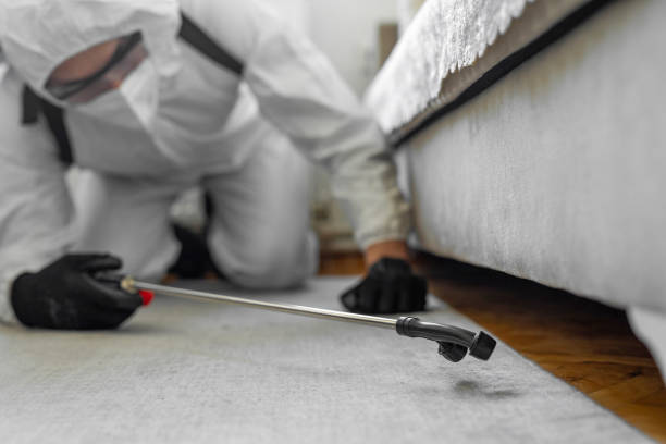 Professional Bed Bug Control technician working in Wingdale, NY