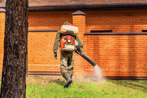Trusted Rodent Control service in Wingdale, NY - Nex Pest Control